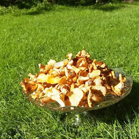 Golfblick * Patergassen